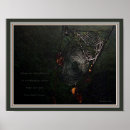 Suche nach spid poster Spinne