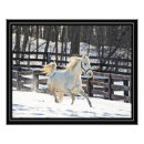 Suche nach galoppieren poster Pferd