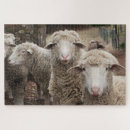 Suche nach sheep puzzle Lamm