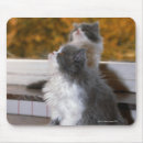 Suche nach seitenansicht mousepads Sitzen