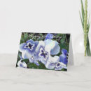 Suche nach stiefmütterchen karten Blume