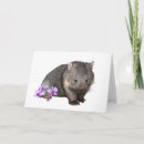 Suche nach wombats karten Frau