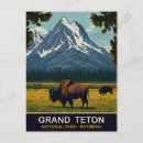 Suche nach bison vertikale postkarten Usa