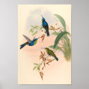 Suche nach kolibris kunst Blume
