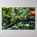 Suche nach chamäleon poster Blume
