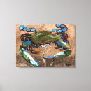Suche nach krabben leinwandbilder Fisch