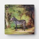 Suche nach zebra fotoplatten Tier