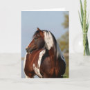 Suche nach stallion karten Rasse