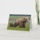 Suche nach babybär karten Bären