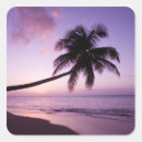 Suche nach grover aufkleber Urlaub