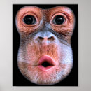 Suche nach lustige gesichter poster Fotografie