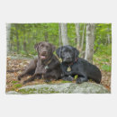 Suche nach schwarzes labrador geschirr tücher Haustiere