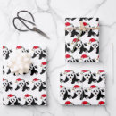Suche nach bären geschenkpapier Panda bär