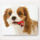 Suche nach tierkopf mousepads Horizontal