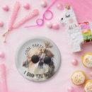 Suche nach shih tzu teller Haustiere