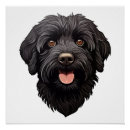 Suche nach labradoodles poster Niedlich