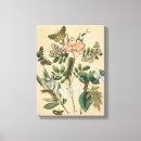 Suche nach studio leinwandbilder Tiere