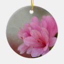 Suche nach azalee ornamente Blume