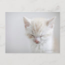 Suche nach schlafen postkarten Niedlich