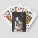 Suche nach kragen spielkarten Hund
