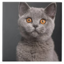 Suche nach britisch fliesen Niedlich