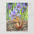 Suche nach der chipmunk postkarten Blume