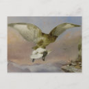 Suche nach bussard poster Landschaft