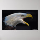 Suche nach enormes poster Wild lebende tiere