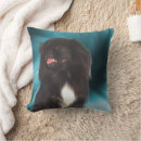 Suche nach pekingese Niedlich
