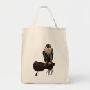 Suche nach wanderfalke Illustration