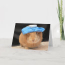 Suche nach floh postkarten Albern