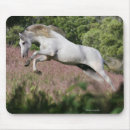Suche nach fantasie mousepads Pferd