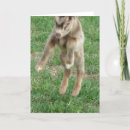 Suche nach freude karten Kind