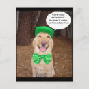 Suche nach lustige irische postkarten Hund