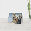 Suche nach yorkshire karten Hund