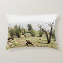 Suche nach bristlecone kiefer California