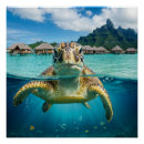Suche nach tahiti poster Sommer
