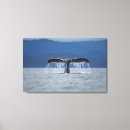 Suche nach buckel kunst Säugetier