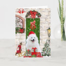 Suche nach spucken karten Hund