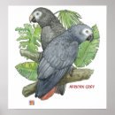 Suche nach african poster Nature