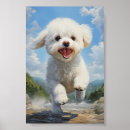 Suche nach bichon kunst poster Poodle