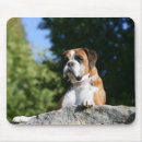 Suche nach weißer boxer mousepads Foto