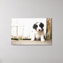Suche nach border collie leinwandbilder Haustier