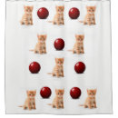 Suche nach hund bad beauty Katzen