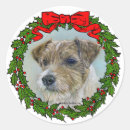 Suche nach hundeschlitten aufkleber Dogs