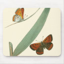 Suche nach bunt mousepads Schmetterlinge