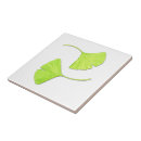 Suche nach ginkgo fliesen Blatt