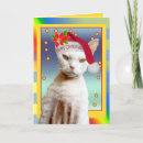 Suche nach sankt katze Cats