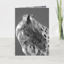 Suche nach gepunktetes pferd karten Appaloosa