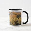 Suche nach saguaro tassen Tucson